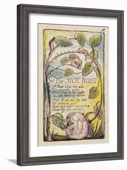 The Sick Rose', Plate 48 from 'Songs of Innocence and of Experience' [Bentley 39] C.1789-94-William Blake-Framed Giclee Print