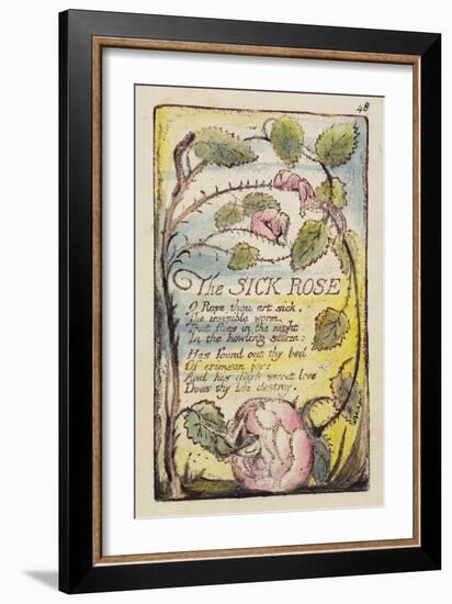 The Sick Rose', Plate 48 from 'Songs of Innocence and of Experience' [Bentley 39] C.1789-94-William Blake-Framed Giclee Print