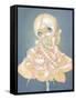 The Sick Rose-Jasmine Becket-Griffith-Framed Stretched Canvas