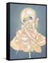 The Sick Rose-Jasmine Becket-Griffith-Framed Stretched Canvas