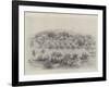 The Siege of Ladysmith-Melton Prior-Framed Giclee Print