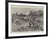 The Siege of Ladysmith-Henry Charles Seppings Wright-Framed Giclee Print