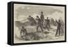 The Siege of Sebastopol, the Rifles in the Trenches-null-Framed Stretched Canvas