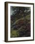 The Siegfried-Well Near Eberbach in the Odenwald, 1902-Wilhelm Trübner-Framed Giclee Print