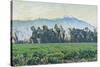 The Sierra Nevada Mountains-Gunnar Widforss-Stretched Canvas