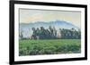 The Sierra Nevada Mountains-Gunnar Widforss-Framed Giclee Print