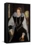 The Sieve Portrait of Queen Elizabeth I-Quentin Massys-Framed Stretched Canvas