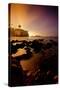 The Sights of the Beautiful Pismo Beach, California and its Surrounding Beaches-Daniel Kuras-Stretched Canvas