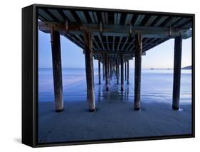 The Sights of the Beautiful Pismo Beach, California and its Surrounding Beaches-Daniel Kuras-Framed Stretched Canvas