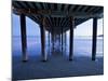 The Sights of the Beautiful Pismo Beach, California and its Surrounding Beaches-Daniel Kuras-Mounted Photographic Print