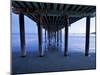 The Sights of the Beautiful Pismo Beach, California and its Surrounding Beaches-Daniel Kuras-Mounted Photographic Print