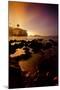 The Sights of the Beautiful Pismo Beach, California and its Surrounding Beaches-Daniel Kuras-Mounted Photographic Print