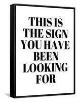 The Sign You Have Been Looking For-Anna Quach-Framed Stretched Canvas