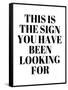 The Sign You Have Been Looking For-Anna Quach-Framed Stretched Canvas