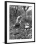 The Signal Corps Laying Wire in the Field During Maneuvers-Thomas D^ Mcavoy-Framed Premium Photographic Print