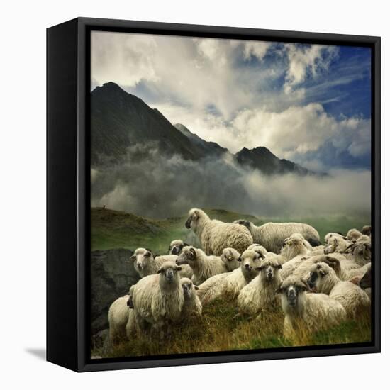 The Silence of the Lambs-Istvan Kadar-Framed Stretched Canvas
