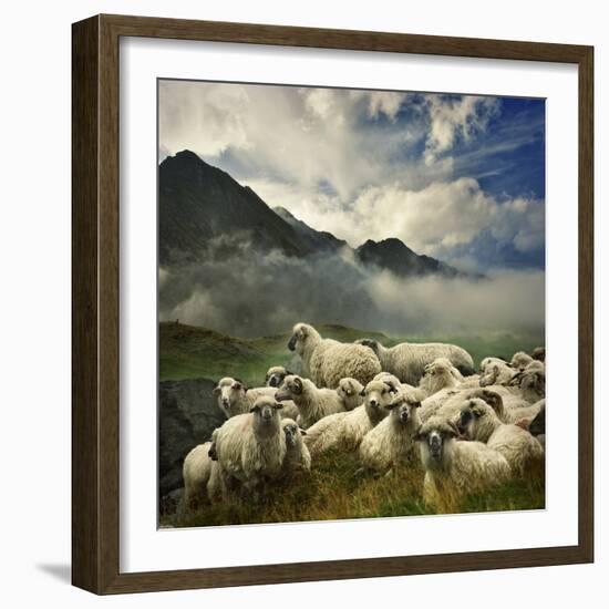 The Silence of the Lambs-Istvan Kadar-Framed Photographic Print