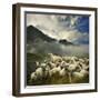 The Silence of the Lambs-Istvan Kadar-Framed Photographic Print