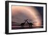 The Silhouetted Forms of a Pair of Courting Sauropod Dinosaurs-null-Framed Art Print