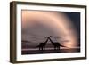 The Silhouetted Forms of a Pair of Courting Sauropod Dinosaurs-null-Framed Premium Giclee Print