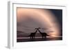 The Silhouetted Forms of a Pair of Courting Sauropod Dinosaurs-null-Framed Premium Giclee Print