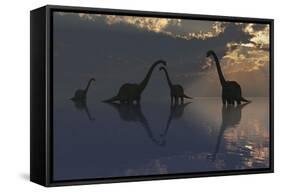 The Silhouetted Shapes of Sauropod Dinosaurs at the Start of a Prehistoric Day-Stocktrek Images-Framed Stretched Canvas