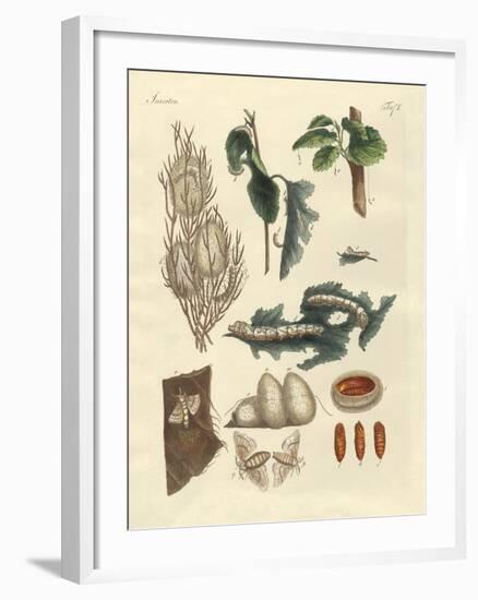 The Silkworm-null-Framed Giclee Print
