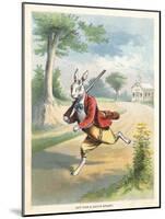 The Silly Hare, Children's Illustration-null-Mounted Giclee Print