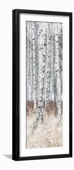 The Silver Forest - Detail-Mikael Svensson-Framed Giclee Print