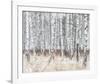 The Silver Forest-Mikael Svensson-Framed Giclee Print