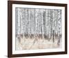 The Silver Forest-Mikael Svensson-Framed Giclee Print