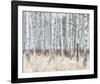 The Silver Forest-Mikael Svensson-Framed Giclee Print