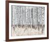 The Silver Forest-Mikael Svensson-Framed Giclee Print