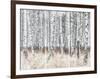 The Silver Forest-Mikael Svensson-Framed Giclee Print