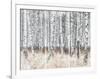 The Silver Forest-Mikael Svensson-Framed Giclee Print