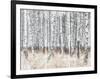 The Silver Forest-Mikael Svensson-Framed Giclee Print