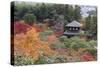 The Silver Pavilion and Gardens in Autumn-Stuart Black-Stretched Canvas