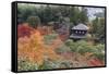 The Silver Pavilion and Gardens in Autumn-Stuart Black-Framed Stretched Canvas