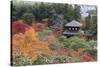 The Silver Pavilion and Gardens in Autumn-Stuart Black-Stretched Canvas