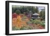 The Silver Pavilion and Gardens in Autumn-Stuart Black-Framed Photographic Print