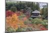 The Silver Pavilion and Gardens in Autumn-Stuart Black-Mounted Photographic Print