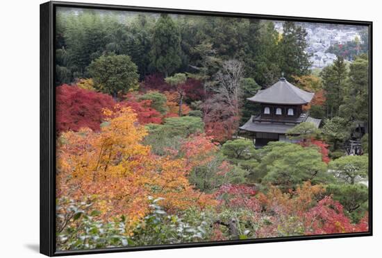 The Silver Pavilion and Gardens in Autumn-Stuart Black-Framed Photographic Print