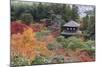 The Silver Pavilion and Gardens in Autumn-Stuart Black-Mounted Photographic Print