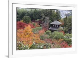 The Silver Pavilion and Gardens in Autumn-Stuart Black-Framed Photographic Print