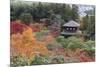 The Silver Pavilion and Gardens in Autumn-Stuart Black-Mounted Photographic Print