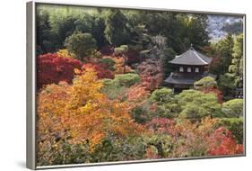 The Silver Pavilion and Gardens in Autumn-Stuart Black-Framed Photographic Print