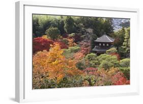 The Silver Pavilion and Gardens in Autumn-Stuart Black-Framed Photographic Print