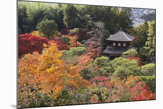 The Silver Pavilion and Gardens in Autumn-Stuart Black-Mounted Photographic Print