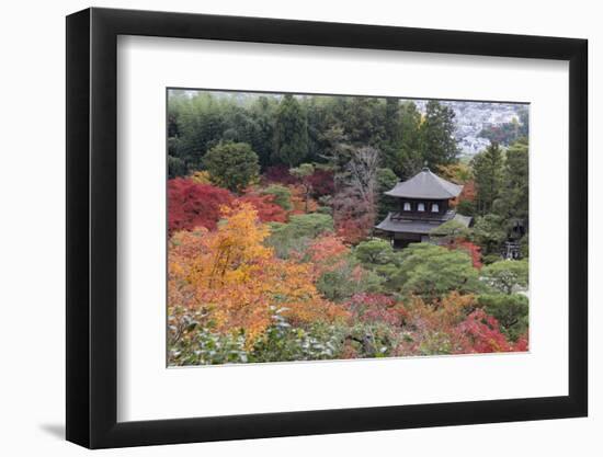 The Silver Pavilion and Gardens in Autumn-Stuart Black-Framed Photographic Print