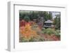 The Silver Pavilion and Gardens in Autumn-Stuart Black-Framed Photographic Print